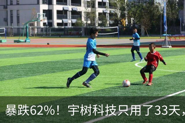 暴跌62%！宇树科技只用了33天，从1100元跌至414元的惨痛教训